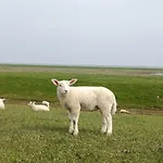 Fiete- Modernes Nordsee- Domiziel Zum Ankommen Und Abschalten Dom wakacyjny