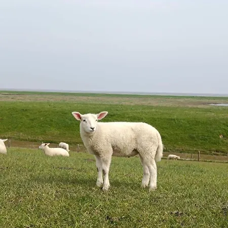 Fiete- Modernes Nordsee- Domiziel Zum Ankommen Und Abschalten Prázdninový dům