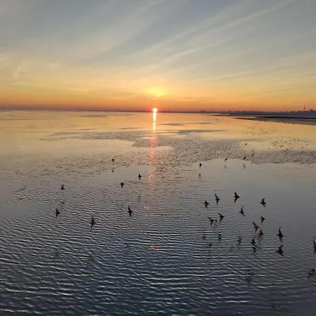 別荘 Fiete- Modernes Nordsee- Domiziel Zum Ankommen Und Abschalten ブルハーフェ