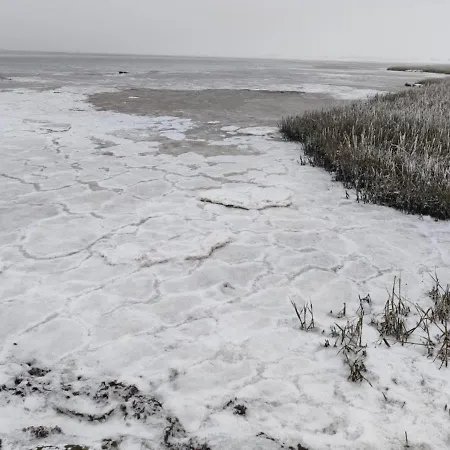Fiete- Modernes Nordsee- Domiziel Zum Ankommen Und Abschalten 別荘 ブルハーフェ