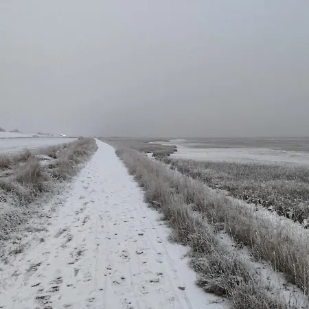 Fiete- Modernes Nordsee- Domiziel Zum Ankommen Und Abschalten 別荘