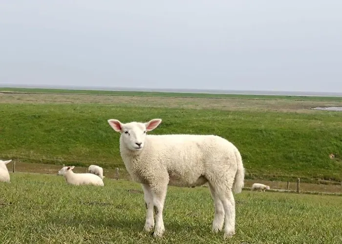 Fiete- Modernes Nordsee- Domiziel Zum Ankommen Und Abschalten 別荘