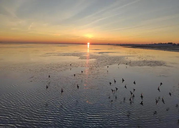 別荘 Fiete- Modernes Nordsee- Domiziel Zum Ankommen Und Abschalten ブルハーフェ