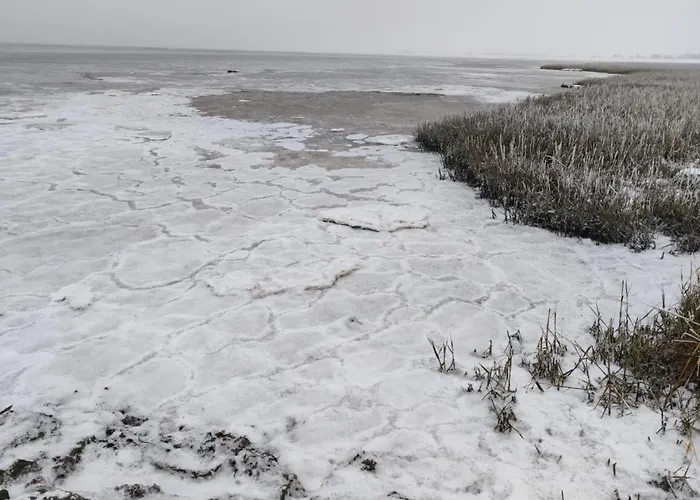 Fiete- Modernes Nordsee- Domiziel Zum Ankommen Und Abschalten 別荘 ブルハーフェ