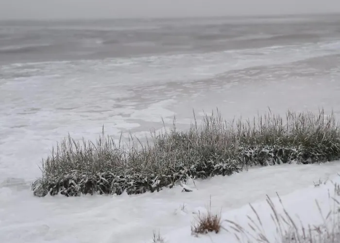 別荘 Fiete- Modernes Nordsee- Domiziel Zum Ankommen Und Abschalten ブルハーフェ