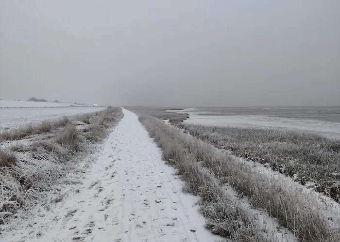 Fiete- Modernes Nordsee- Domiziel Zum Ankommen Und Abschalten 別荘